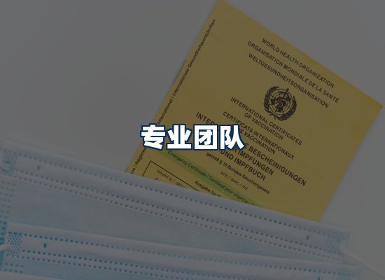 专业团队