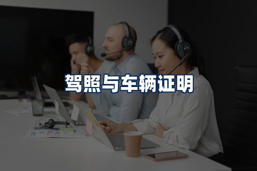 车辆证明展示